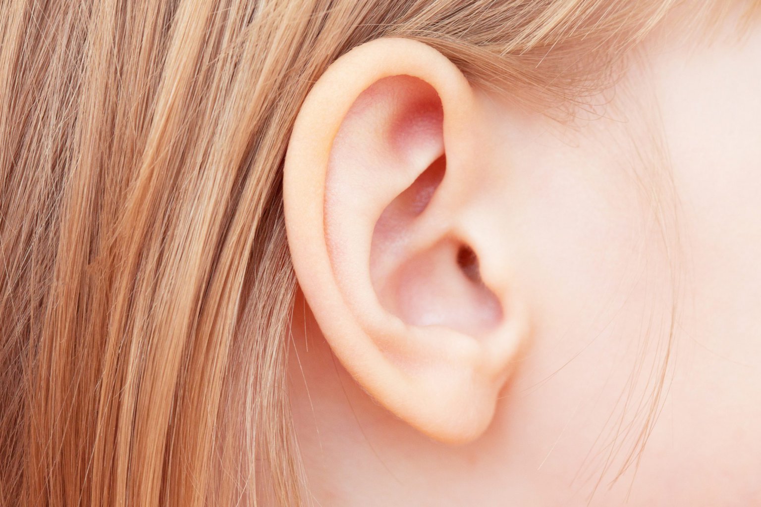 Earring. ухо. They are ears. красивые уши. ухо.