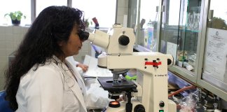 laboratories-31.jpg
